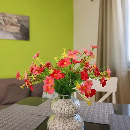 Apartamento Ivanac *